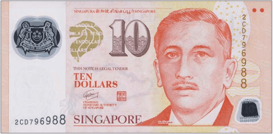  SGD By Shannon s Shop 